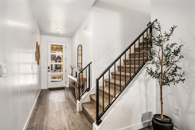 Front entry and carpeted staircase with potted olive tree