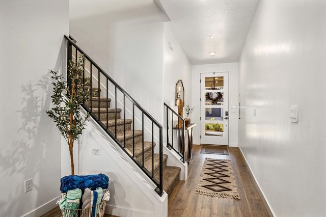 Entry hall with staircase and potted olive tree