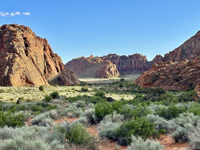 Red rock canyon walls and desert brush in Snow Canyon