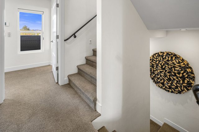 Carpeted staircase to the upper floors